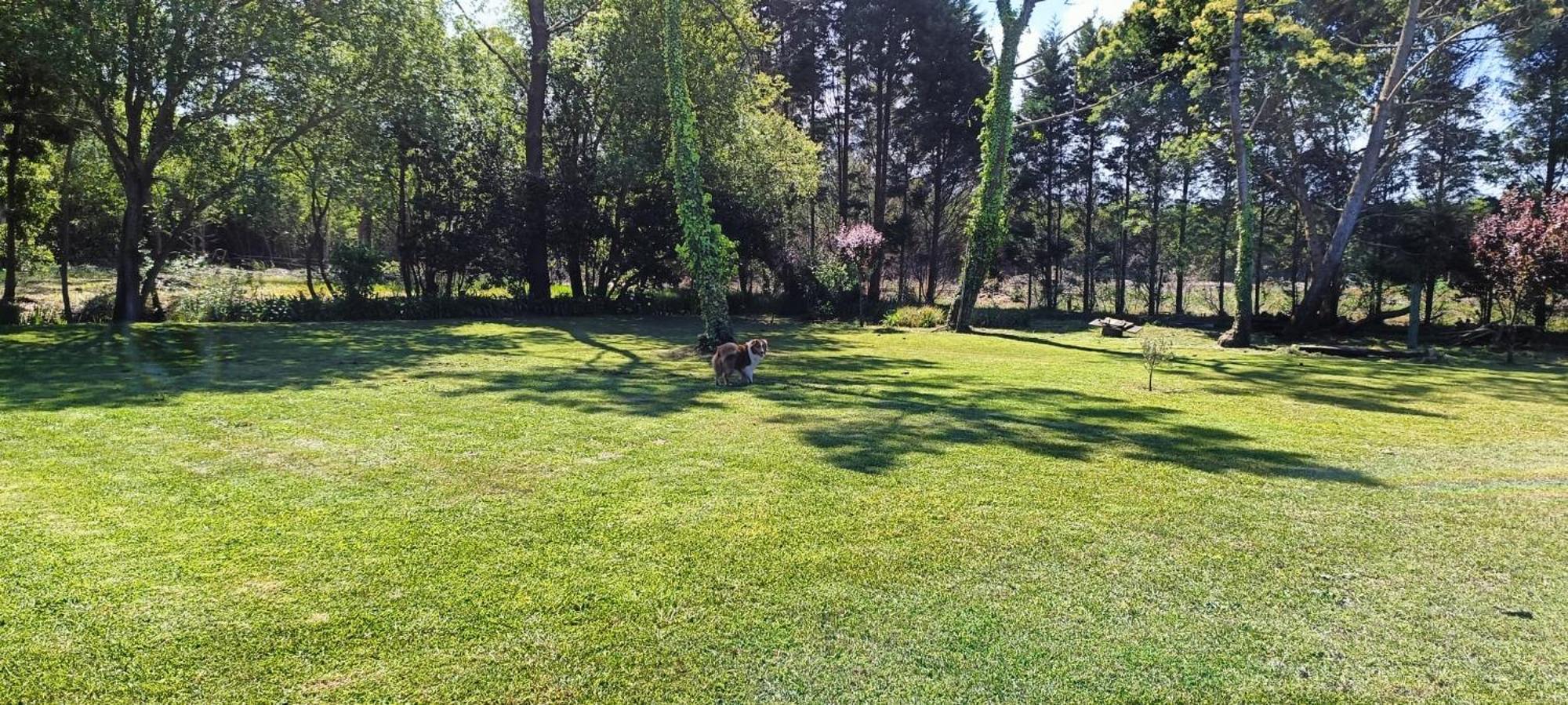 Villa Casa Da Mata à Praia de Mira Extérieur photo