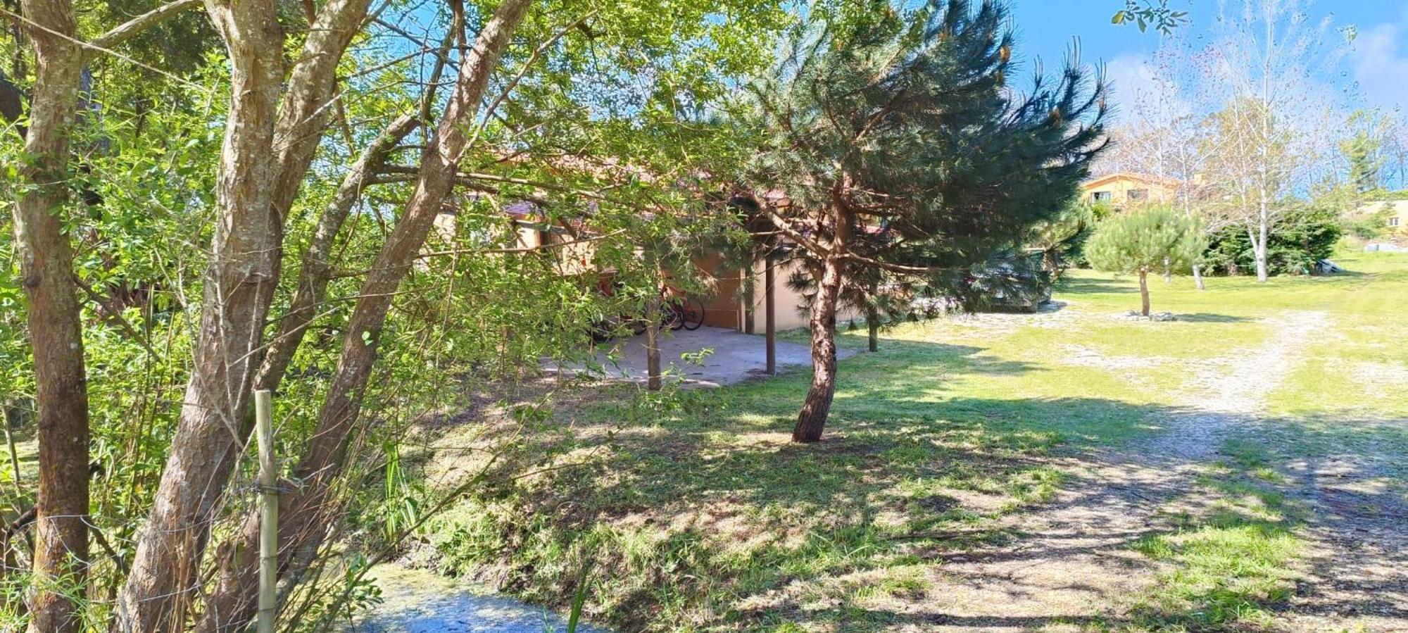 Villa Casa Da Mata à Praia de Mira Extérieur photo